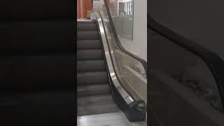 Short Escalator (Very Cute)