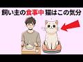 猫に関する驚きの雑学【13選】 #猫 #ねこ