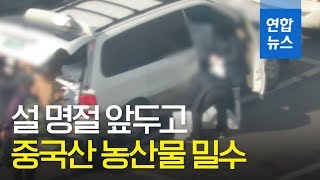 설 명절 앞두고 3억원대 중국산 농산물 밀수한 일당 적발 / 연합뉴스 (Yonhapnews)