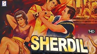 शेरदिल - Sher Dil - Dara Singh, Parveen Choudhary - Super Hit Action Movie - HD