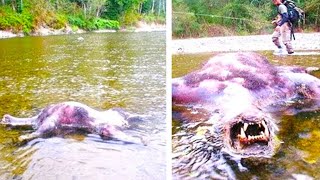 What They Discovered In The Jungle Shocked The Whole World