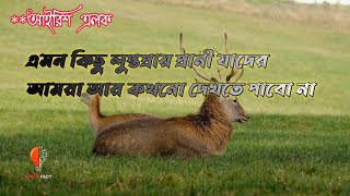 বিশ্বব্যাপী কিছু লুপ্তপ্রায় প্রাণী যা কখনও আর পৃথিবীতে ফিরে আসবেনা।