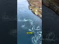 world strongest whirlpool salstraumen in norway nature