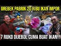 GREBEK PABRIK 20RIBU IKAN IMPOR, 7 RUKO DIJEBOL CUMA BUAT IKAN!!! FISHKINIAN #kingofthejungle