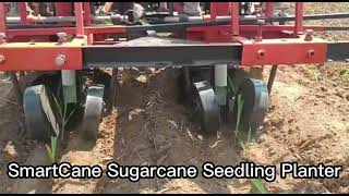 SmartCane Sugarcane Seedling Transplanter- Semi-Automatic Developed by ICAR-CIAE.