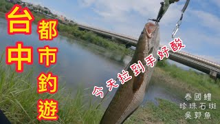 中部!水溝有大物!?讓我出來釣一下!台中康橋水岸釣遊#路亞#康橋#讓我出來釣一下