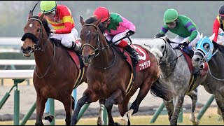 第117回　京都記念（ＧⅡ）　プラダリア　牡５　58　池添謙一　2024.2.11　　出走馬：ベラジオオペラ、シュヴァリエローズ、ラヴェル、ブレイヴロッカー、プラチナトレジャー、ルージュエヴァイユ他