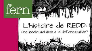 L'histoire de REDD: Une réelle solution à la déforestation?