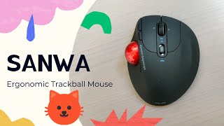 SANWA Ergonomic Trackball Mouse