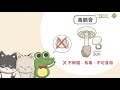 108新課綱｜七下生物｜【觀念】菌物界