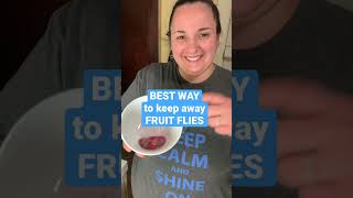 The BEST Way To Keep Away Fruit Flies 🍓 #shorts #momhacks #lifehacks