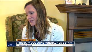 Therapy dog joins funeral home staff