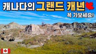 지난 500여일간의 북미 로드 트립 중 가장 인상 깊었던 곳 | 캐나다 판 그랜드 캐년 | 공룡 주립공원 | Dinosaur Provincial Park | 로드트립 Ep 20