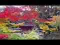 nara a kishinodera temple 秋篠寺