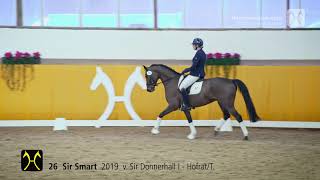 No. 26 Sir Smart by Sir Donnerhall I - Hofrat/T. | Verden Auction High Level - March, 8th - Training