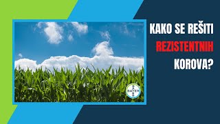 Kako da ZAUVEK Rešite Problem sa REZISTENTNIM Korovima?I Bayer CropScience ONLINE Prezentacije