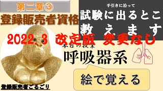 登録販売者【授業二章③】呼吸器系