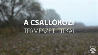 A Csallóköz természeti titkai