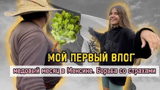 VLOG#1. Медовый месяц Мексика | шаманские обряды на удачу | проба пера | учусь работать на камеру