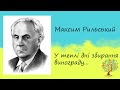 Максим Рильський «У теплі дні збирання винограду...» Вірш Слухати онлайн