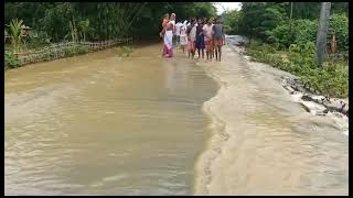 ভয়ংকৰ বানপানী ক’ত চাওক Massive Flood in Assam #flood  #floods