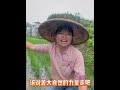 02 我的乡村生活 农村 大山里的空气很清新