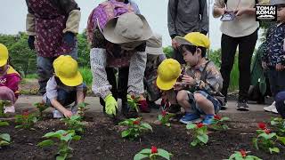 2024 6 14錦大沼公園（ちびっ子ボランティア）