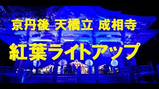 天橋立 成相寺 紅葉ライトアップ　アルファトラベル 京都オンラインツアー