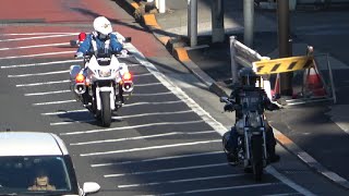 交通機動隊の首振りが凄い！白バイにサイレン鳴らされてから速度を落としても遅い事を思い知らされるバイク乗り！Japanese Motorcycle police