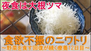 食欲不振のニワトリ～野菜のキュウリと大根のツマを食べた回復傾向が続く保温療養12日目～