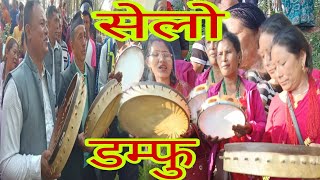 डम्फु सेलो मौलिक तामाङ सेलो Live dohori songs 2080/2023