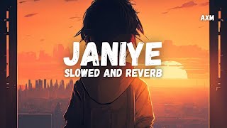 Janiye | Chor Nikal Ke Bhaga | Janiye Lofi Song | Janiye (Slowed and Reverb) | Jaaniye lofi Lyrics