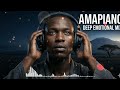 Relaxing Deep Amapiano Mix 🌴 Emotional Lounge & Study Vibes 2026