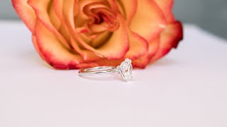 1.7ct Oval Lab Diamond Solitaire Engagement Ring with Diamond Collar in White Gold | Ada Diamonds