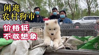 闲逛农村狗市，价格低到不敢想象，各种名犬聚集，买狗只能靠抢