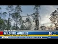 Polk brush fire