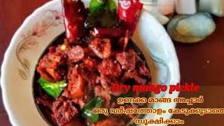 | ഉണക്ക മാങ്ങാ അച്ചാർ 😋😋 | Dry Mango Pickle | It can save long time |