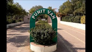 Punit Van Gandhinagar