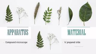 [SES] EXPERIMENT 1 : Basic Techniques of Microscopy
