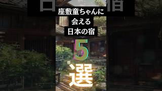 保存版 座敷童に会える日本の伝説旅館５選 #都市伝説 #shortvideo #shorts #雑学 #座敷童子 #座敷わらし #運気