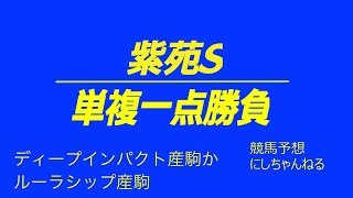 【紫苑S 2018 競馬予想】単複一点勝負！