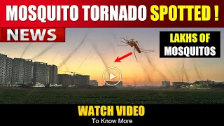 Mosquito Tornado Spotted , Lakhs of Mosquitos Flying in Sky | Watch Video