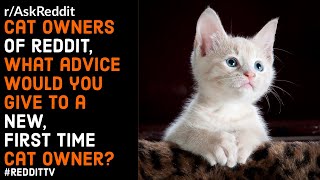 CAT ADVICE (REDDIT | ASK REDDIT | REDDIT STORIES)