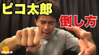 ピコ太郎の倒し方👊倒し方シリーズ【武井壮／切り抜き】