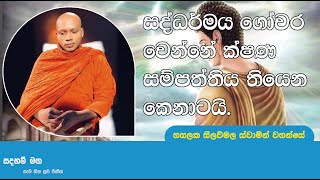 සද්ධර්මය ගෝචර වෙන්නේ ක්ෂණ සම්පත්තිය තියෙන කෙනාටයි.1372Ven Hasalaka Seelawimala Thero