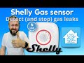 Home Assistant How To - get started with Shelly Gas sensor