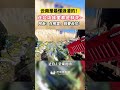 近日，云南昆明。云南是最懂浪漫的！连垃圾堆里都是鲜花~网友：在哪里，我要去捡！ 云南 鲜花 斗南 有一种叫云南的生活