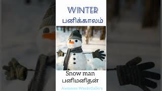 பனிக்காலம்: winter vocabulary collections with Tamil meanings