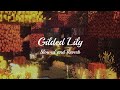 Cults - Gilded Lily [Slowed + Reverb]