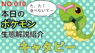 【考察】 「ポケモン解説」ポケモン界の闇　キャタピーの生態と小ネタ解説 010「ゆっくり実況ポケモン図鑑」 平日18時30分毎日投稿中！ 【ポケモン図鑑詳細版】